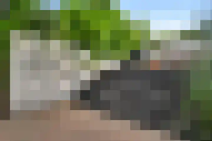 Merumerbroekweg 12 Herten thumbnail 26
