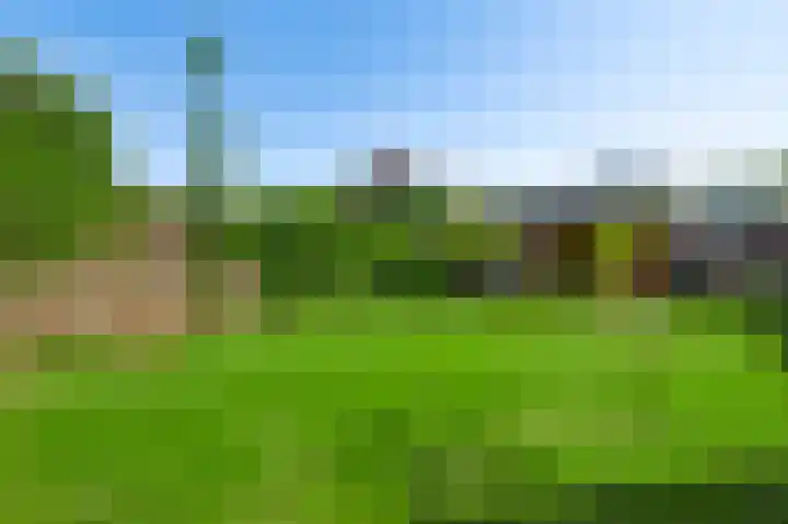 Merumerbroekweg 12 Herten thumbnail 28