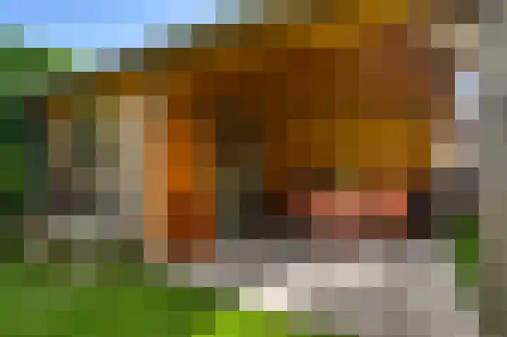Merumerbroekweg 12 Herten thumbnail 30