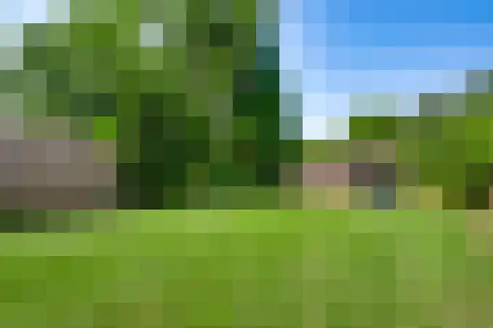 Merumerbroekweg 12 Herten thumbnail 31