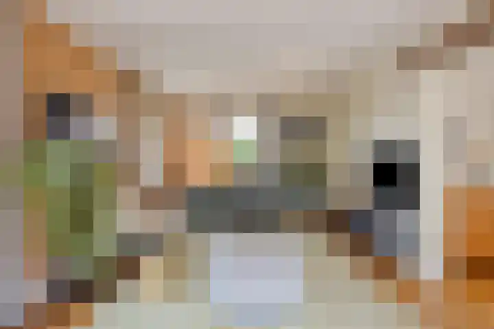 Merumerbroekweg 8 Herten thumbnail 13