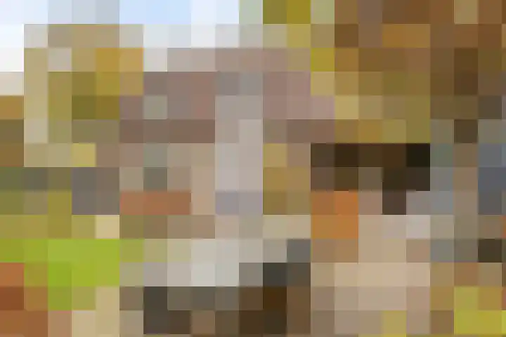 Merumerbroekweg 8 Herten thumbnail 41