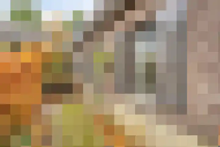 Merumerbroekweg 8 Herten thumbnail 45