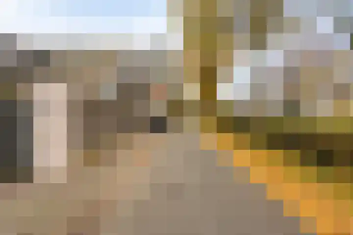Merumerbroekweg 8 Herten thumbnail 48