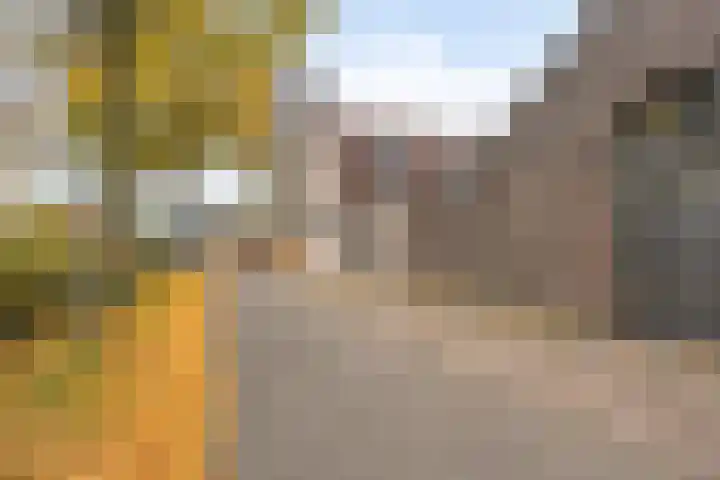 Merumerbroekweg 8 Herten thumbnail 49