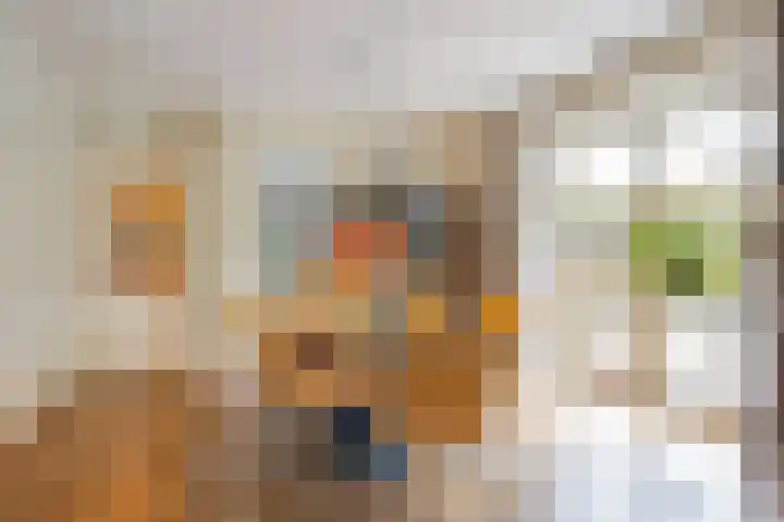Merumerbroekweg 8 Herten thumbnail 8