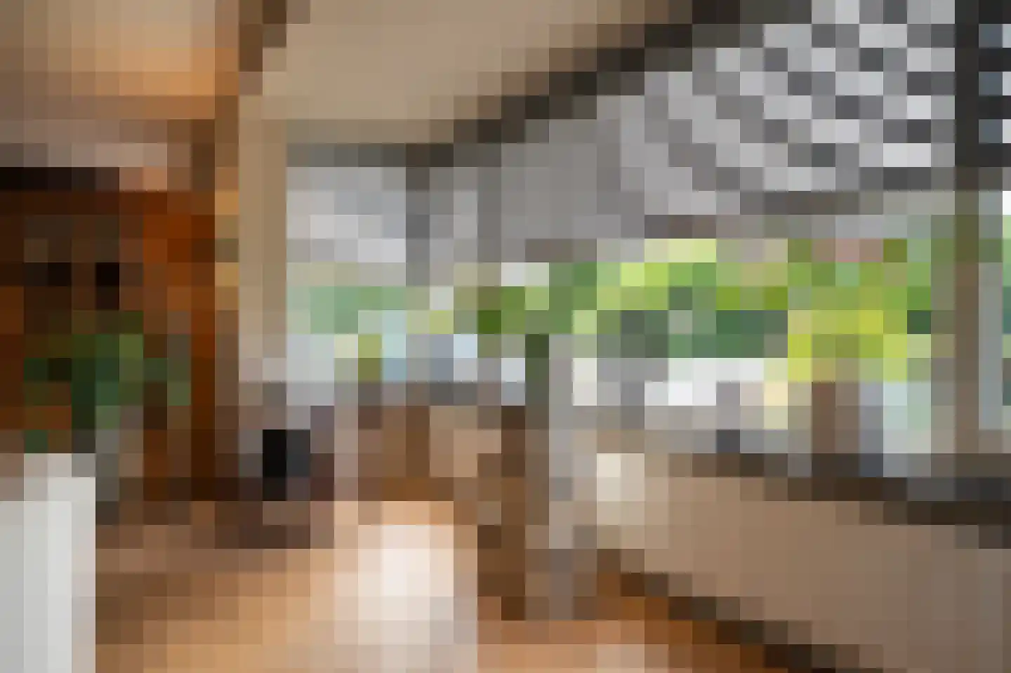 Merwe Donk 12 Gorinchem thumbnail 12