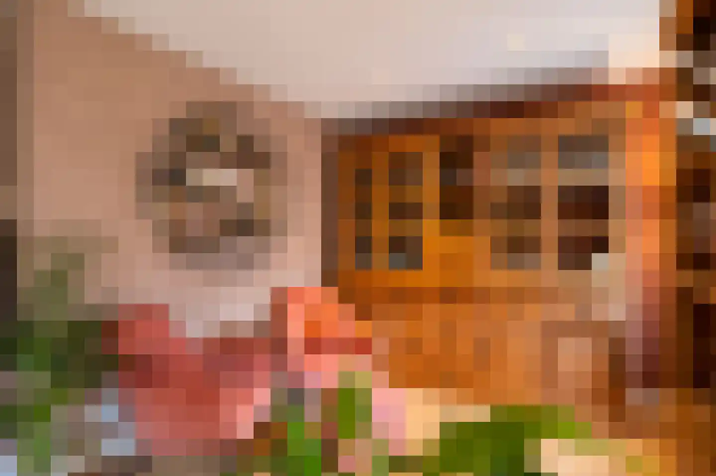 Merwe Donk 12 Gorinchem thumbnail 13