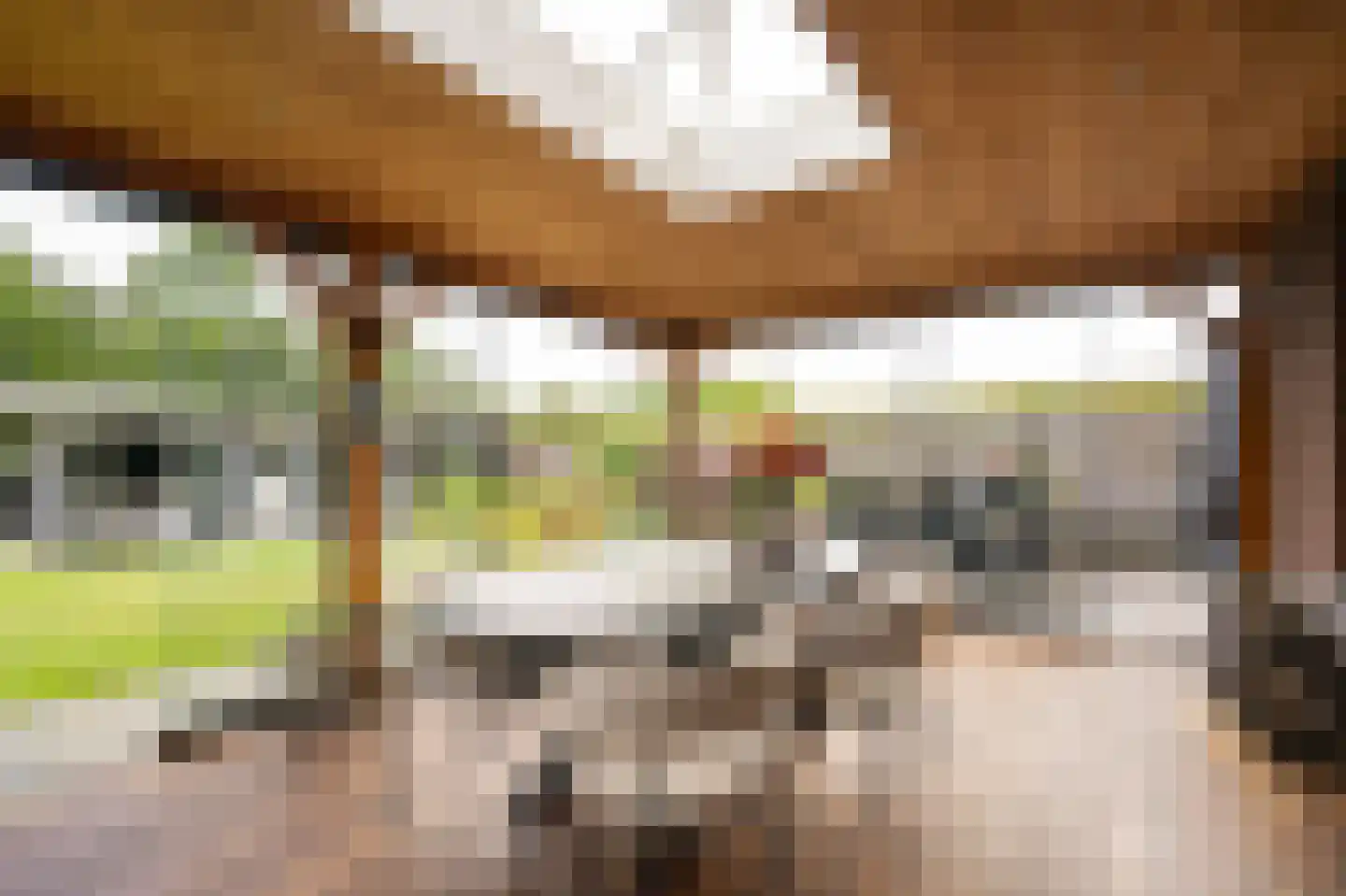 Merwe Donk 12 Gorinchem thumbnail 24
