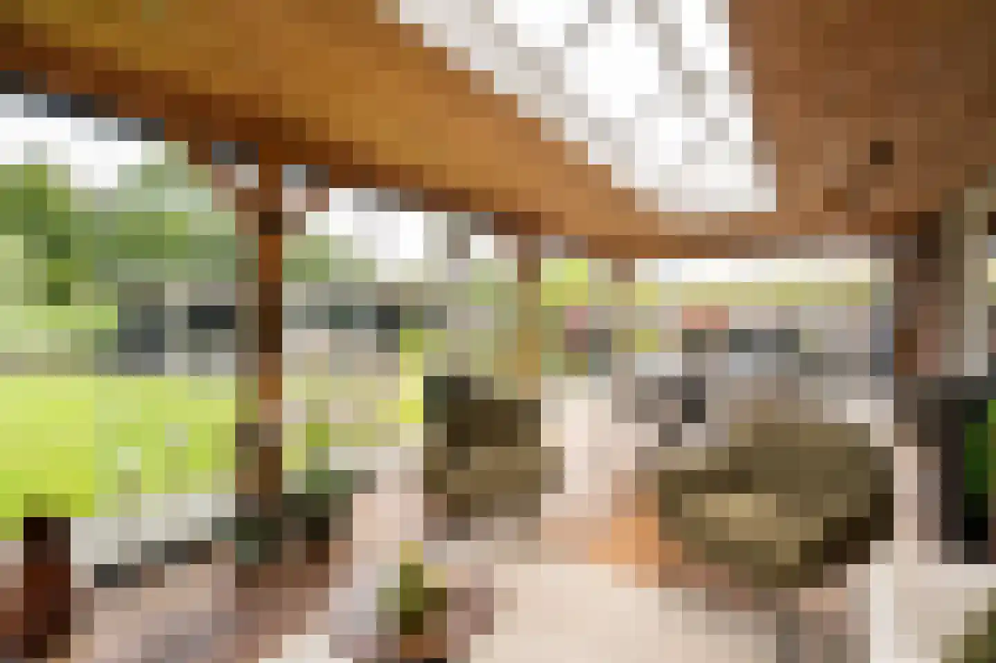 Merwe Donk 12 Gorinchem thumbnail 4