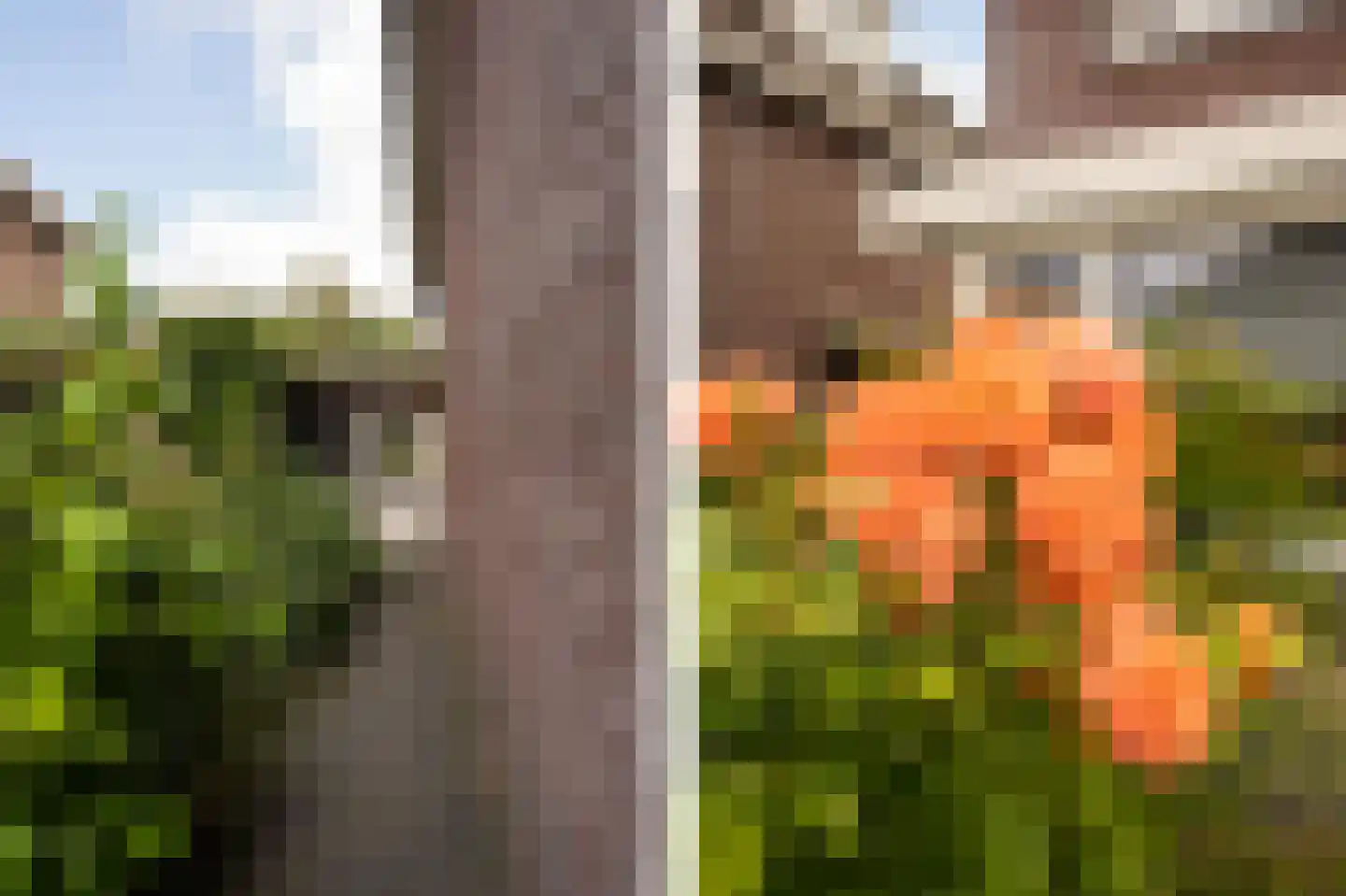 Merwe Donk 12 Gorinchem thumbnail 58