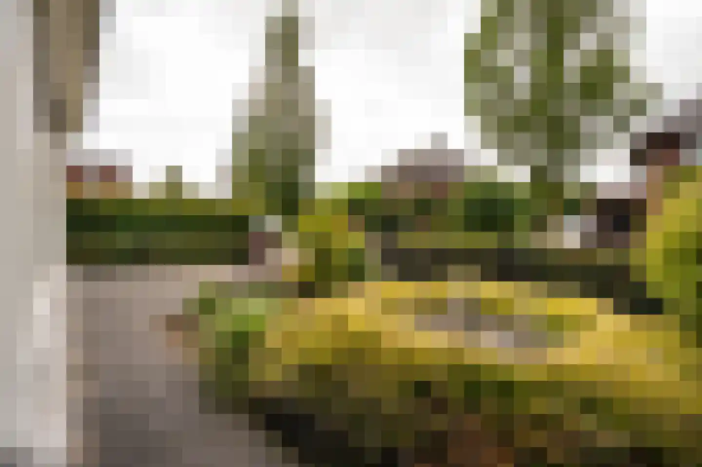Merwe Donk 12 Gorinchem thumbnail 59