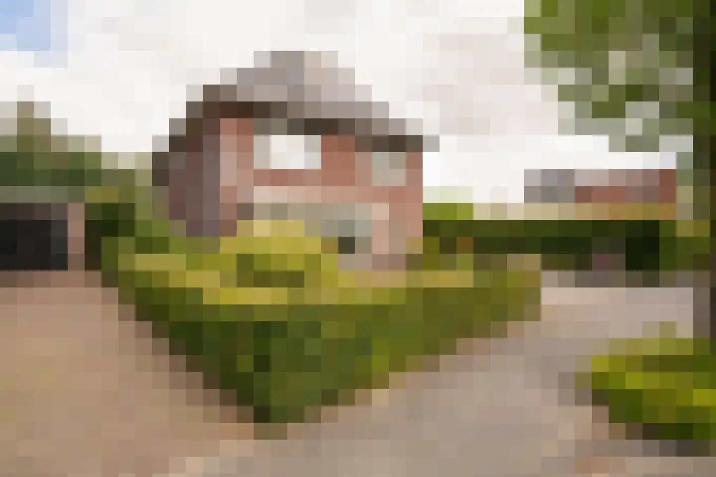 Merwe Donk 12 Gorinchem thumbnail 61