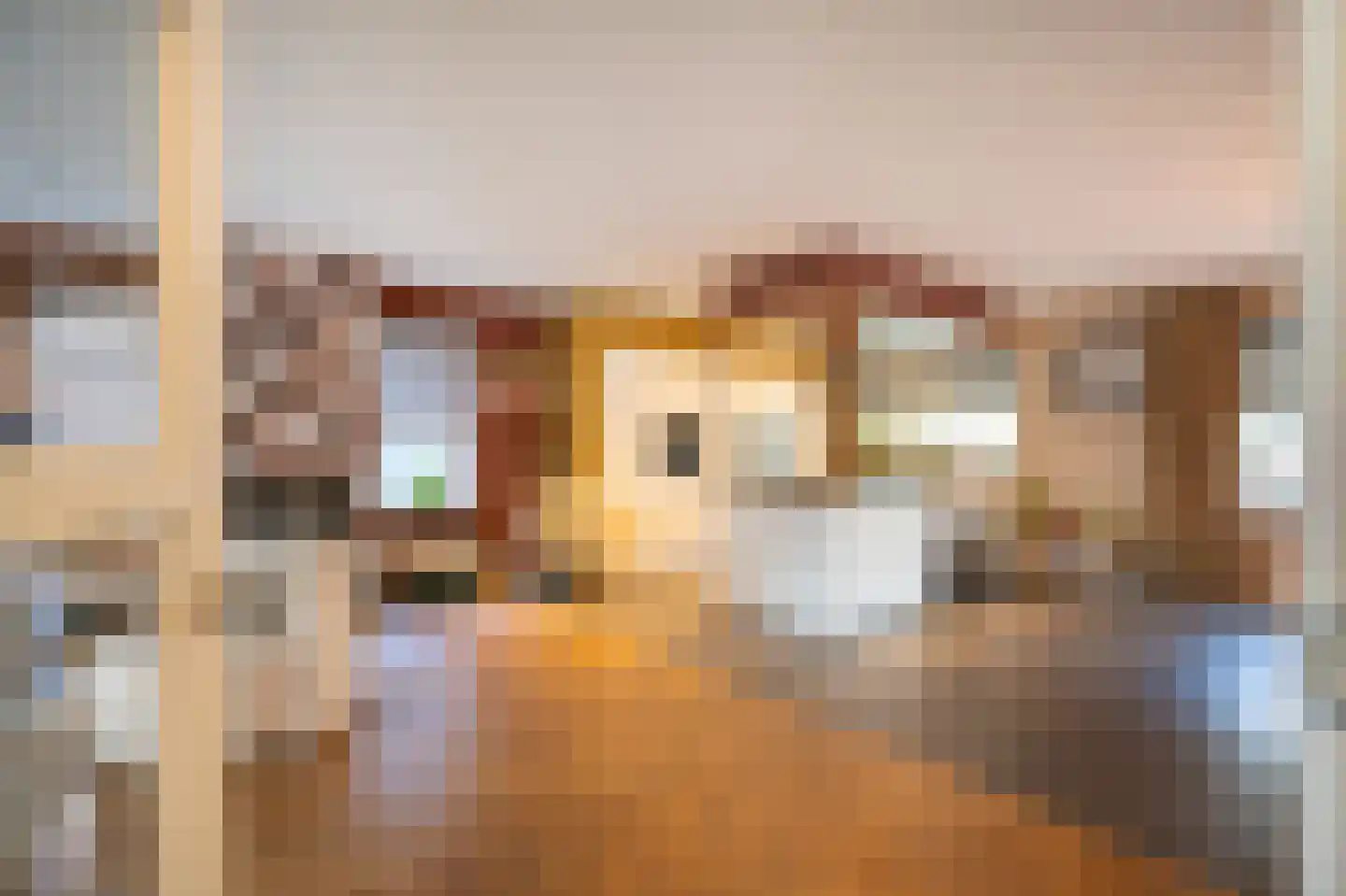 Merwe Donk 12 Gorinchem thumbnail 8