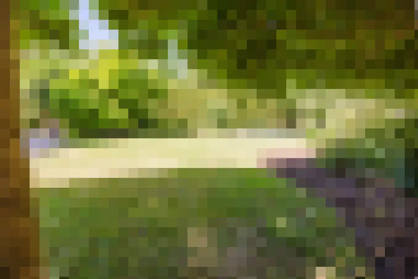 Merwe Donk 16 Gorinchem thumbnail 16