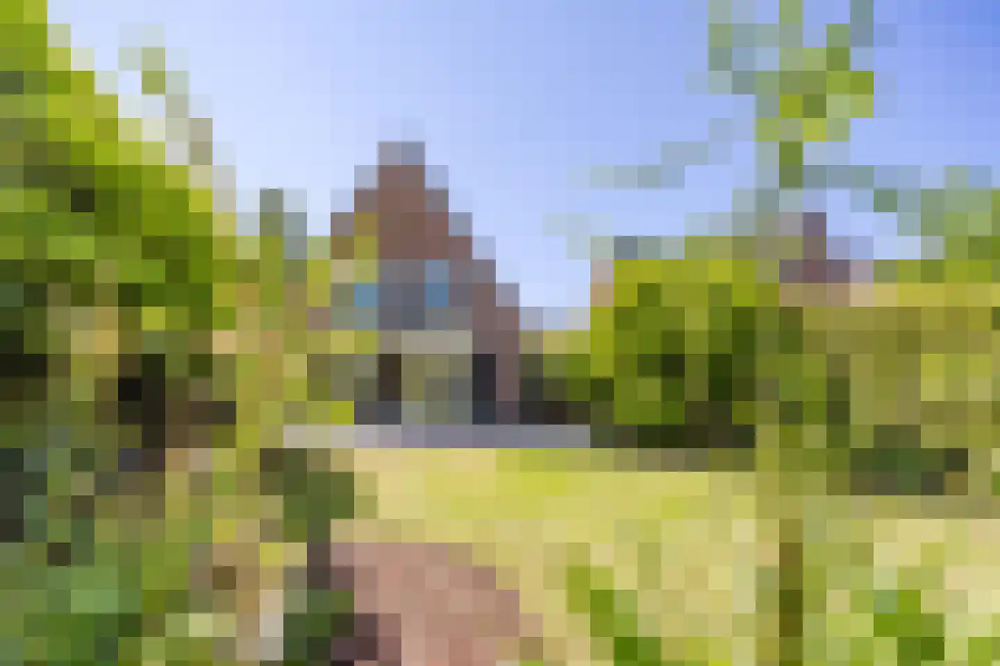 Merwe Donk 16 Gorinchem thumbnail 18