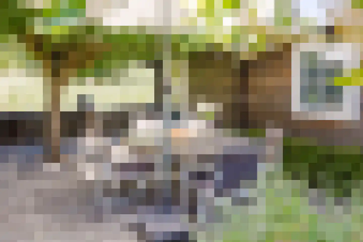 Merwe Donk 16 Gorinchem thumbnail 19
