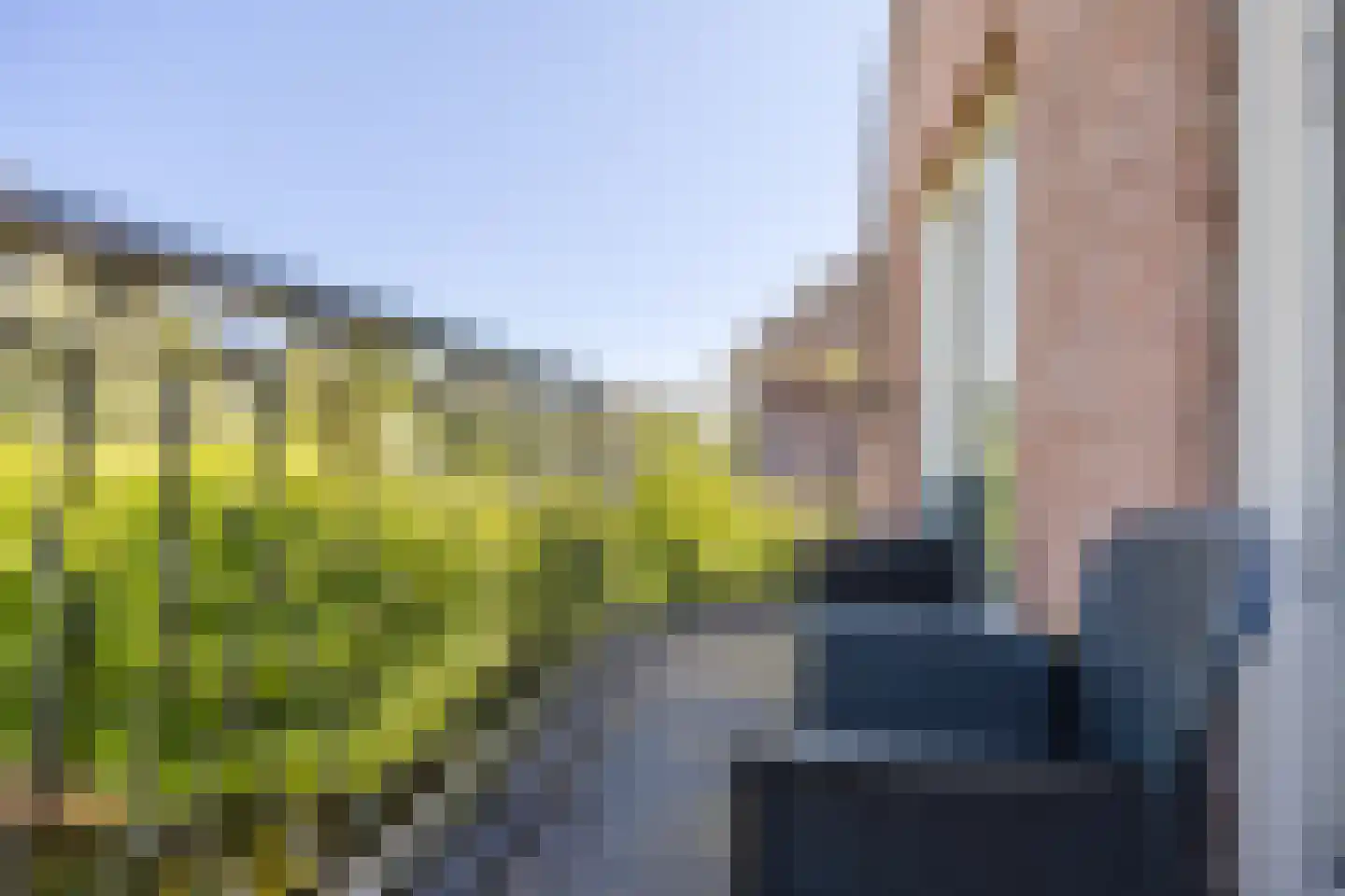 Merwe Donk 16 Gorinchem thumbnail 29