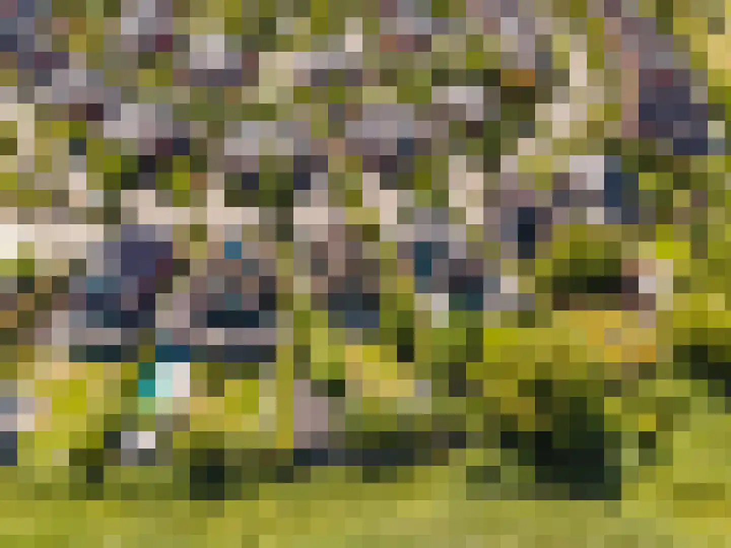 Merwe Donk 16 Gorinchem thumbnail 4