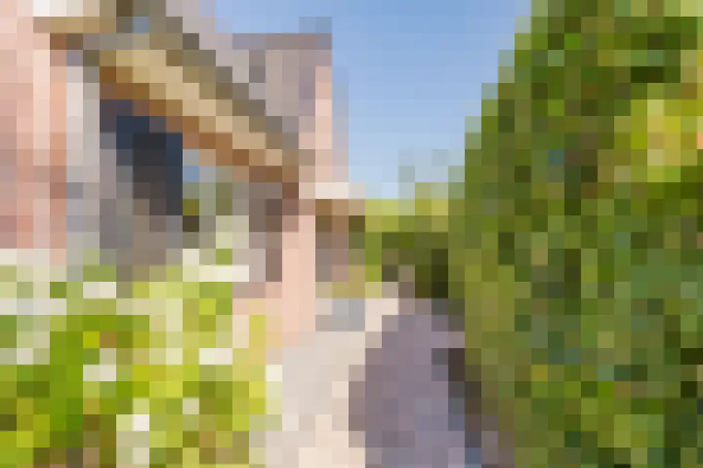 Merwe Donk 16 Gorinchem thumbnail 5