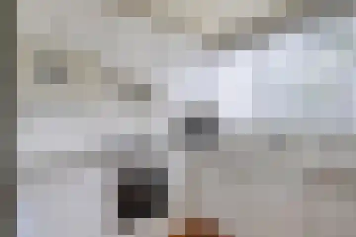 Merwede 13 Heerhugowaard thumbnail 4