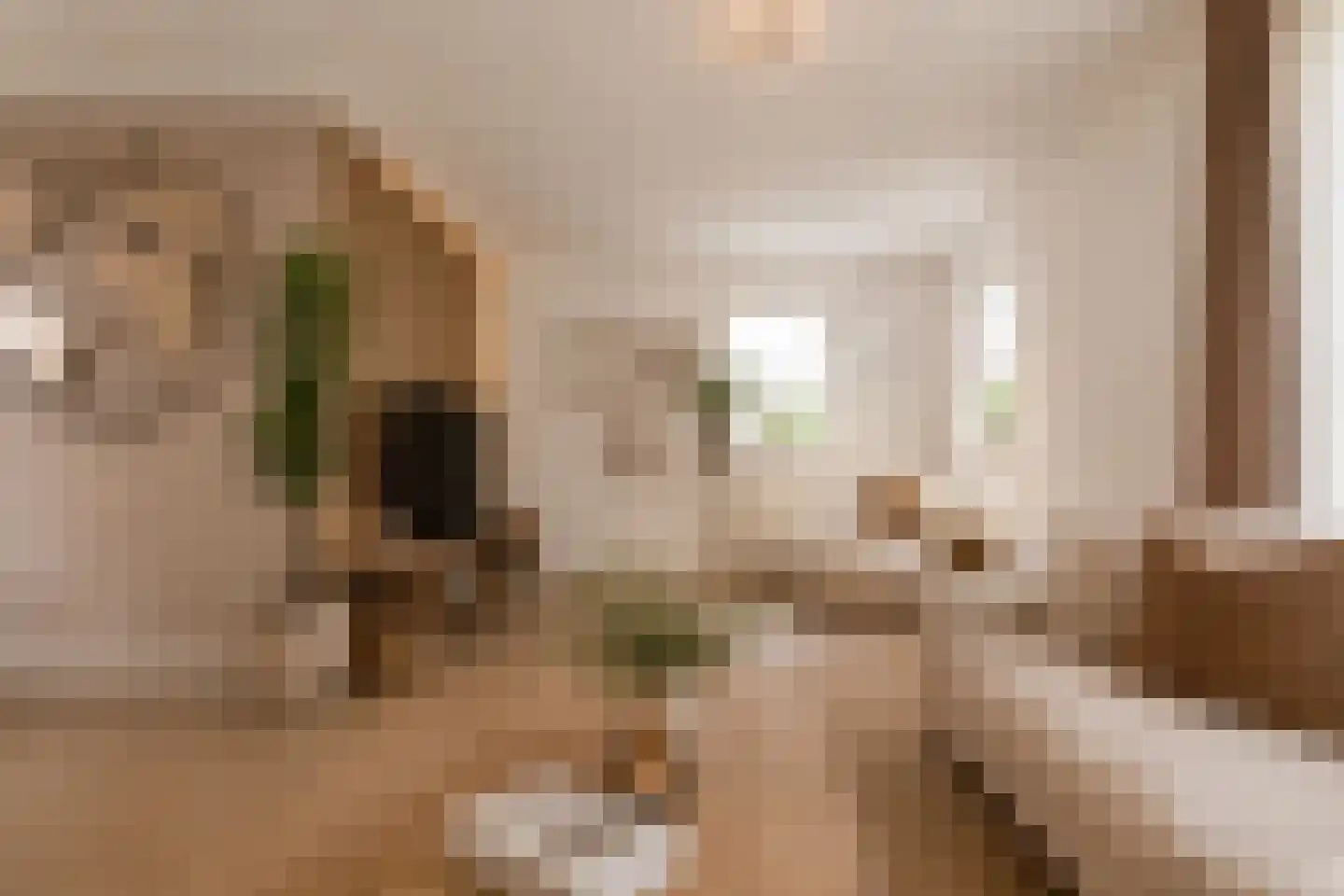 Merwede 37 Kaatsheuvel thumbnail 15