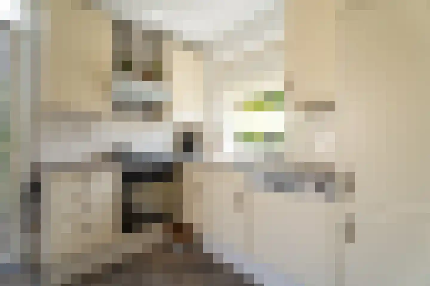 Merwede 37 Kaatsheuvel thumbnail 23
