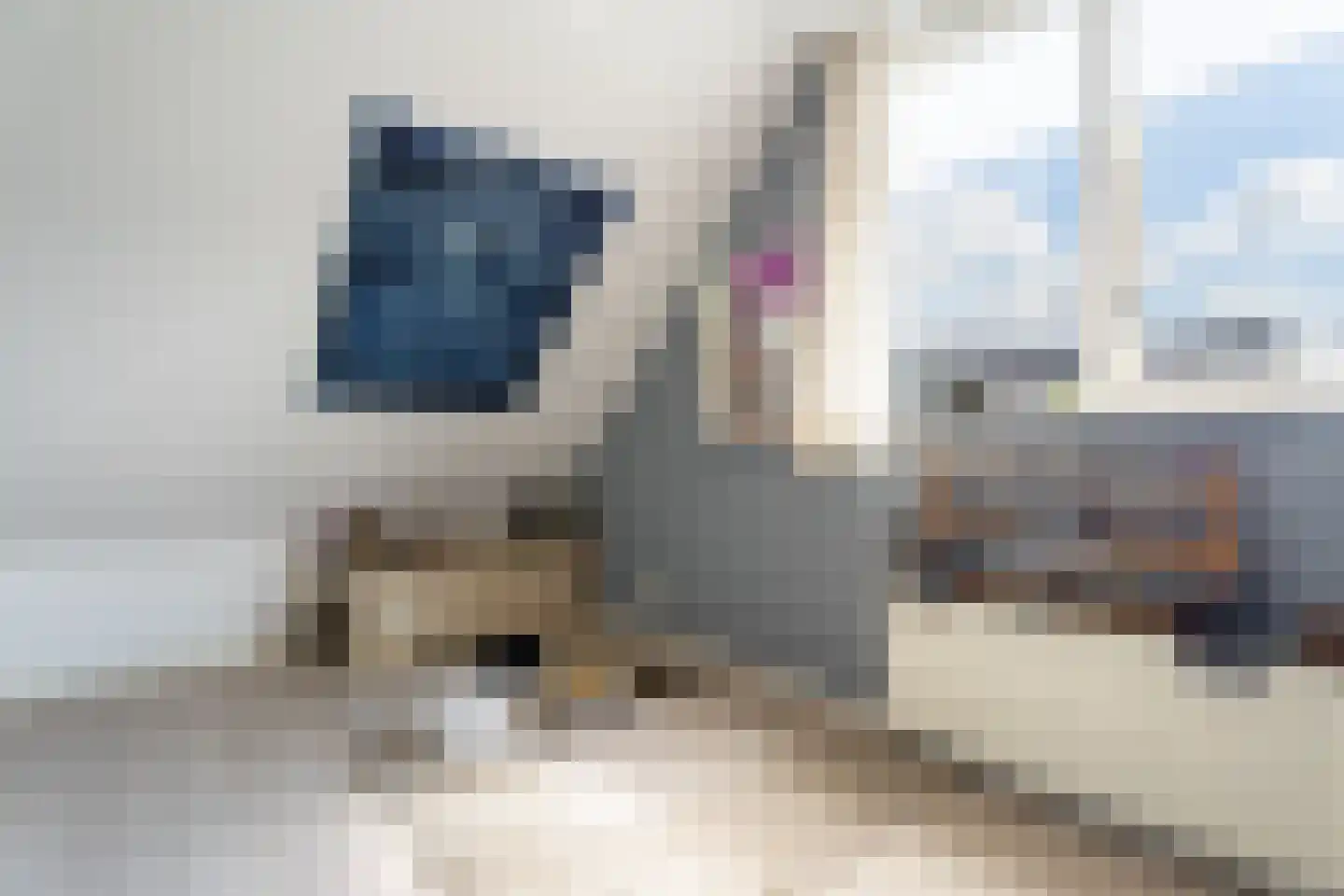 Merwede 37 Kaatsheuvel thumbnail 33