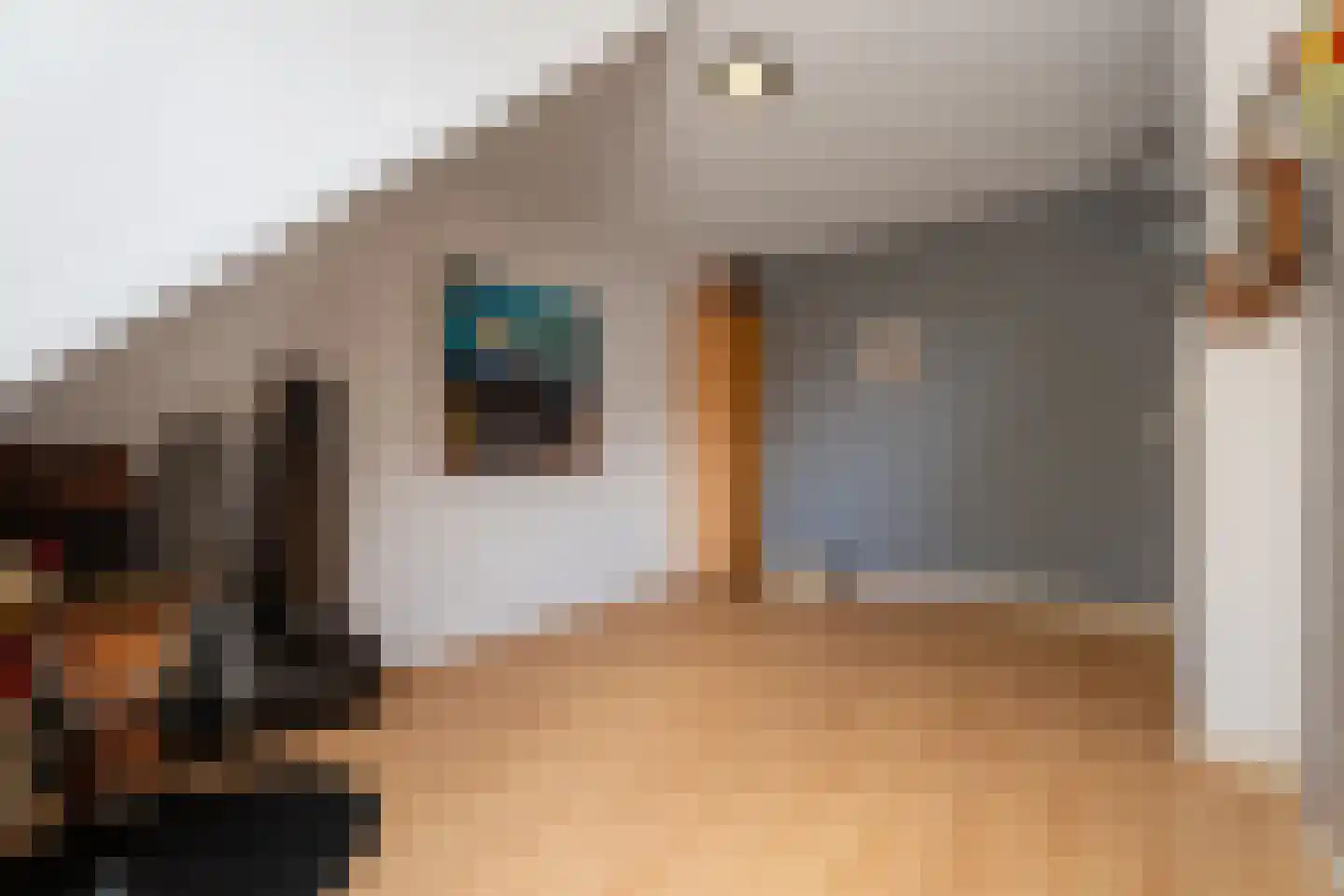 Merwede 37 Kaatsheuvel thumbnail 36