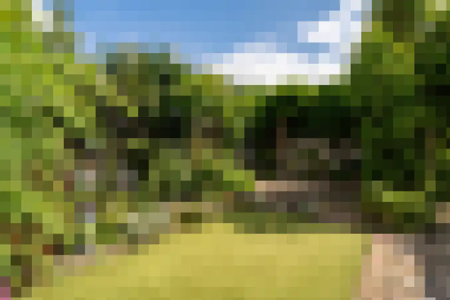 Merwede 37 Kaatsheuvel thumbnail 41