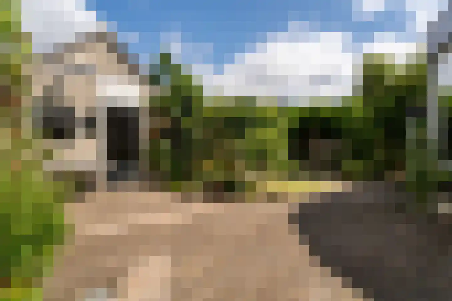 Merwede 37 Kaatsheuvel thumbnail 6