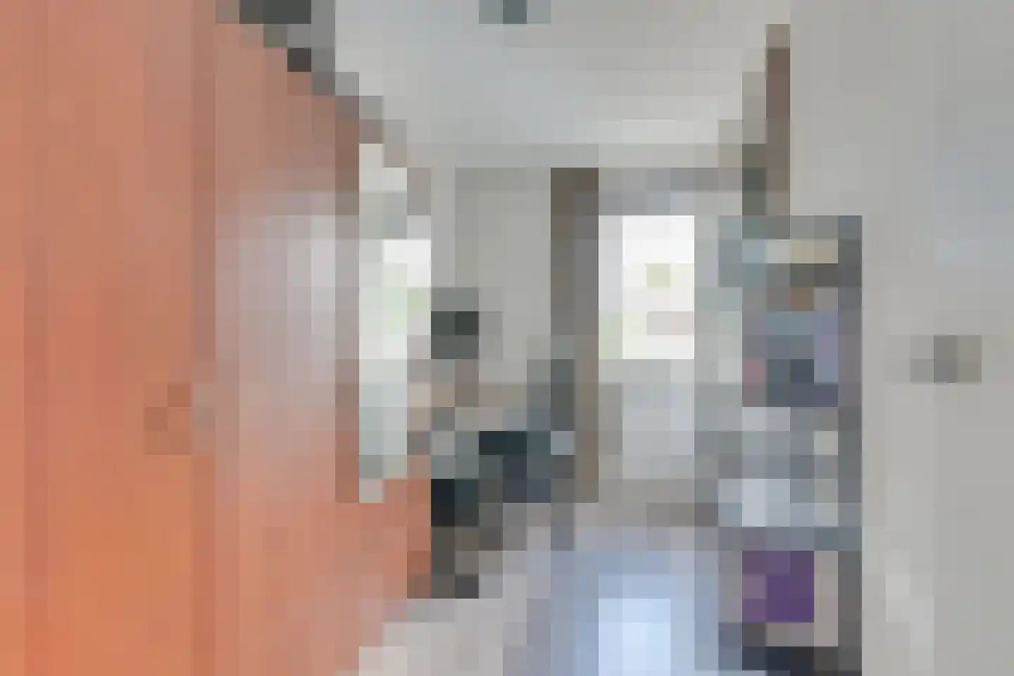 Merwede 4 Heerhugowaard thumbnail 30