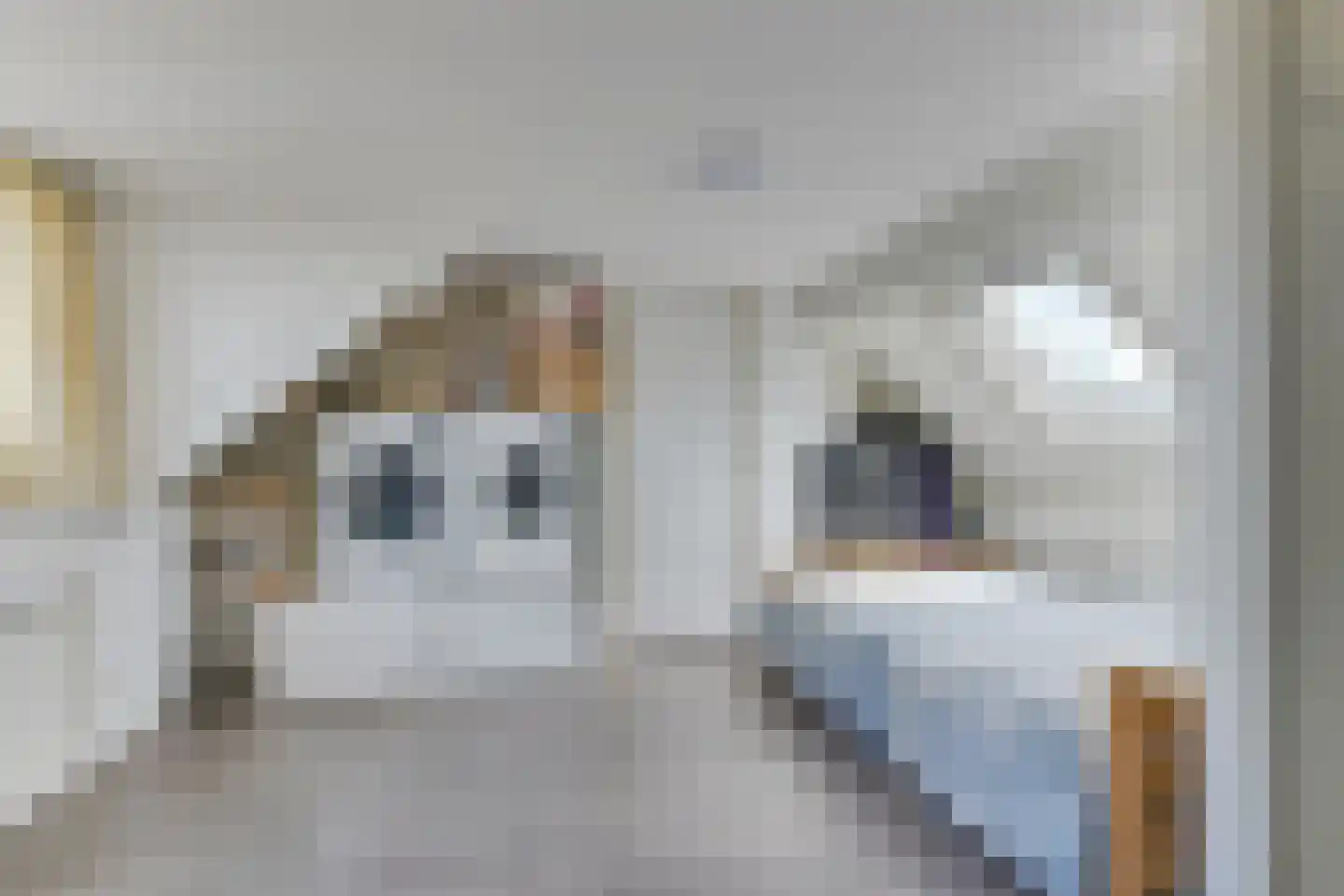 Merwede 4 Heerhugowaard thumbnail 40