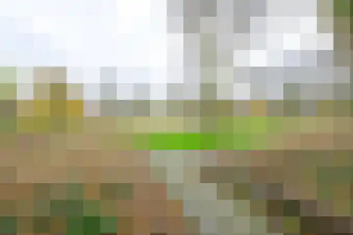 Merwede 44 Heerhugowaard thumbnail 23