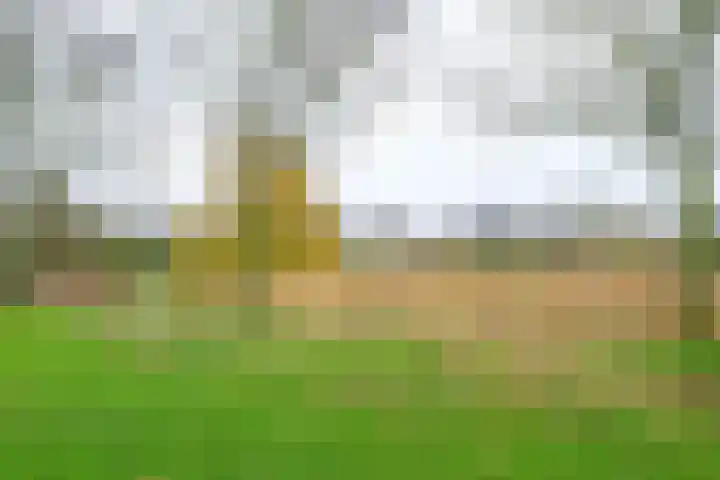 Merwede 44 Heerhugowaard thumbnail 44