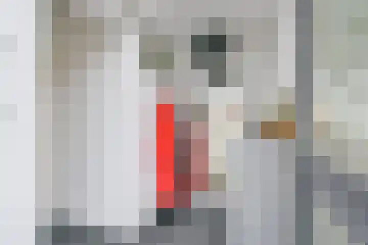 Merwede 44 Heerhugowaard thumbnail 9