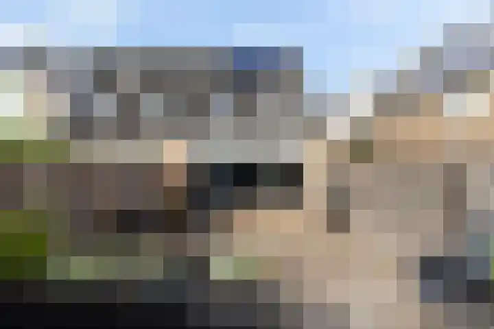 Merwedehof 19 Vlaardingen thumbnail 12