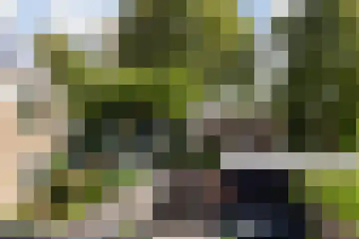 Merwedehof 19 Vlaardingen thumbnail 39
