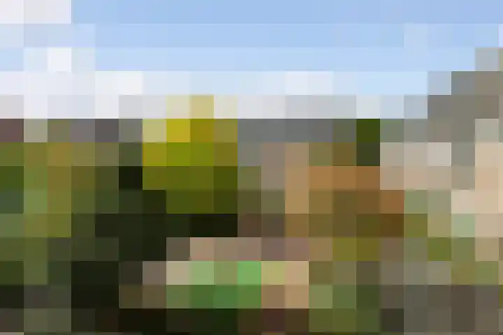 Merwedehof 19 Vlaardingen thumbnail 41