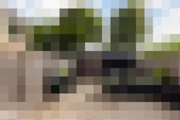 Merwedehof 19 Vlaardingen thumbnail 9