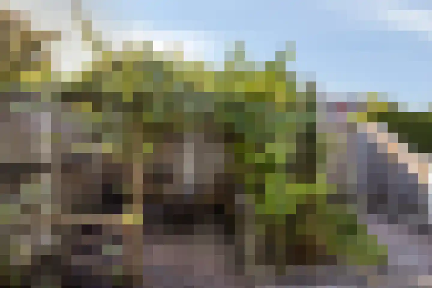 Merwedehof 8 Almelo thumbnail 21