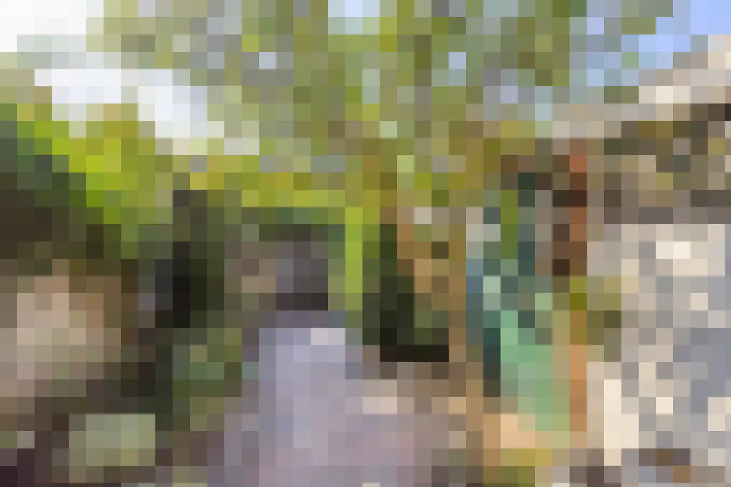 Merwedehof 8 Almelo thumbnail 5
