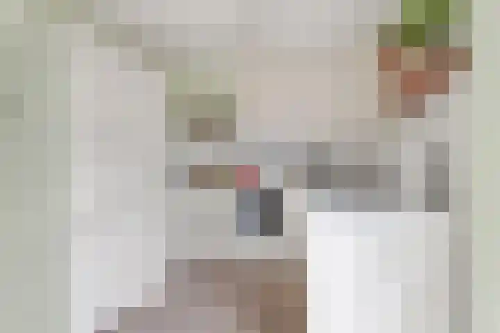 Merwedekade 131 BS Utrecht thumbnail 17