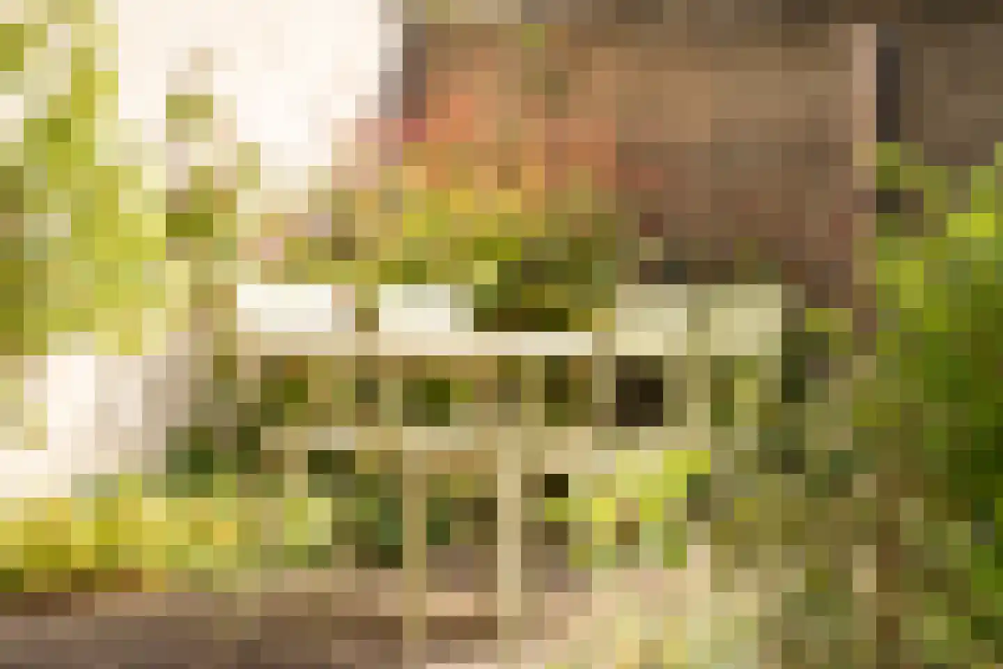 Merwedekade 139 Utrecht thumbnail 16