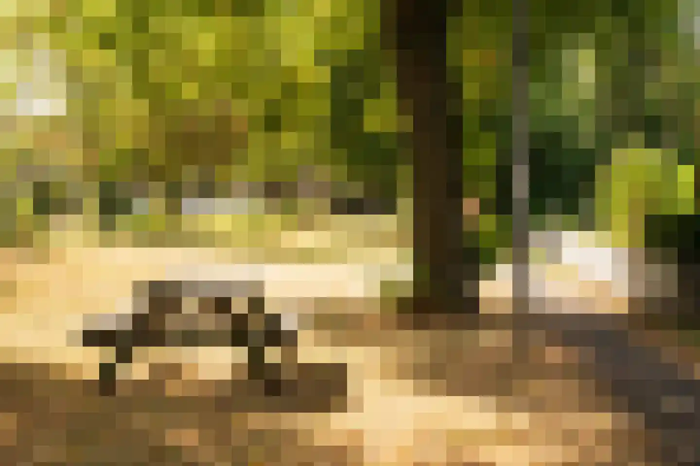 Merwedekade 139 Utrecht thumbnail 31