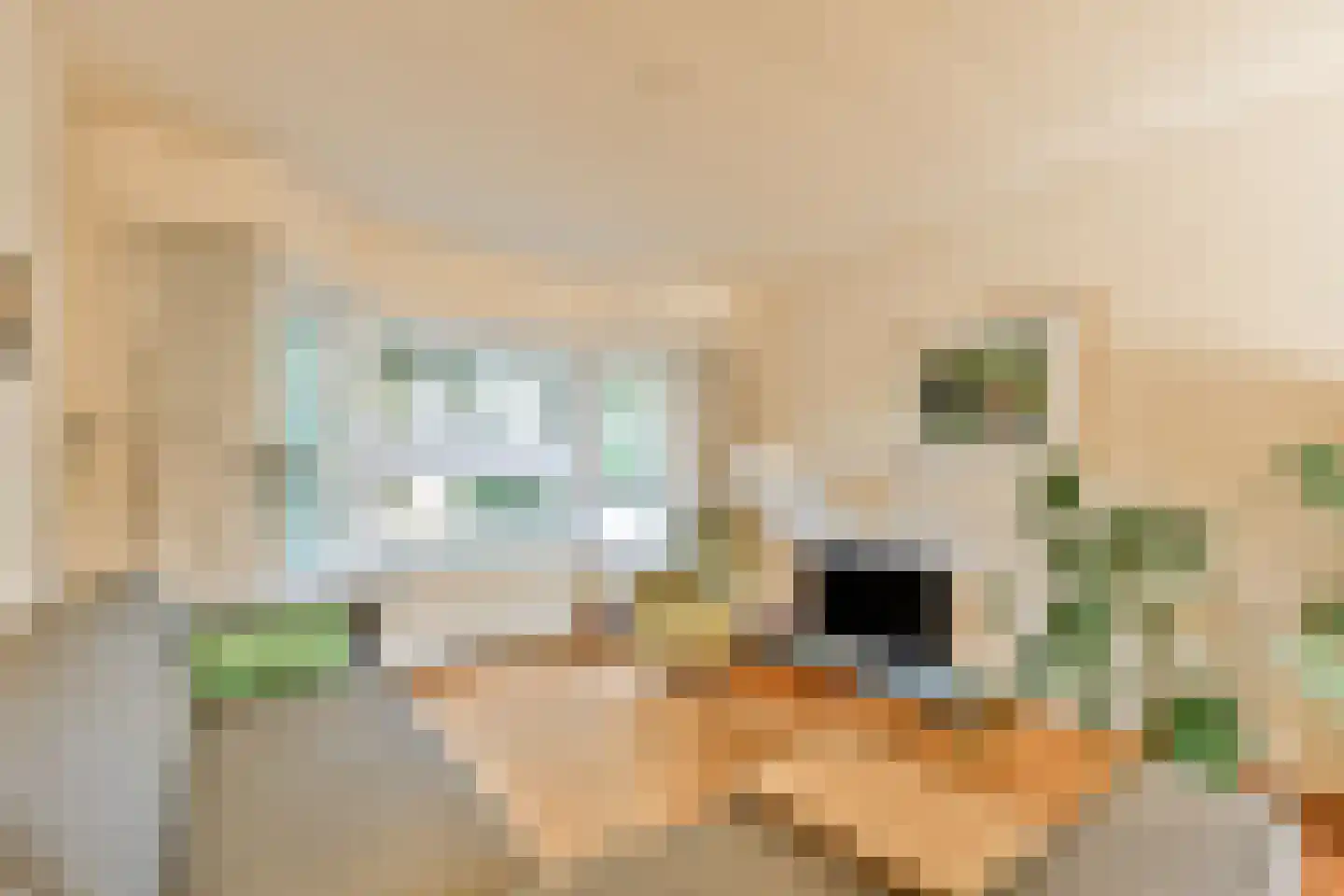 Merwedekade 139 Utrecht thumbnail 9