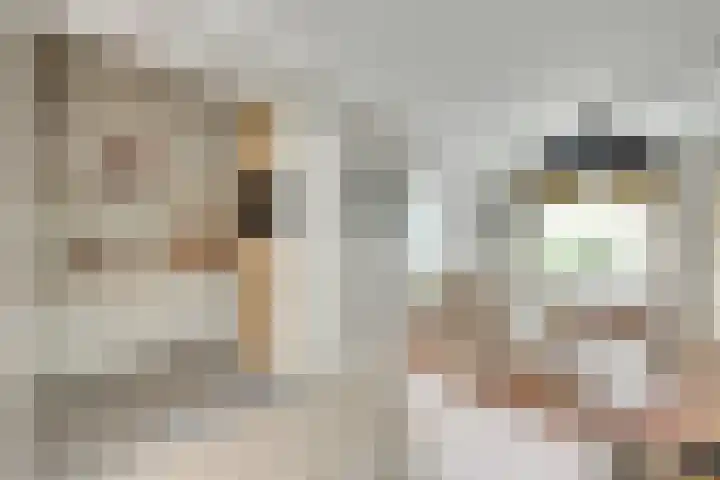 Merwedekade 158 Utrecht thumbnail 20