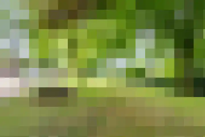 Merwedekade 158 Utrecht thumbnail 30