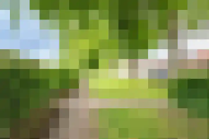 Merwedekade 158 Utrecht thumbnail 31