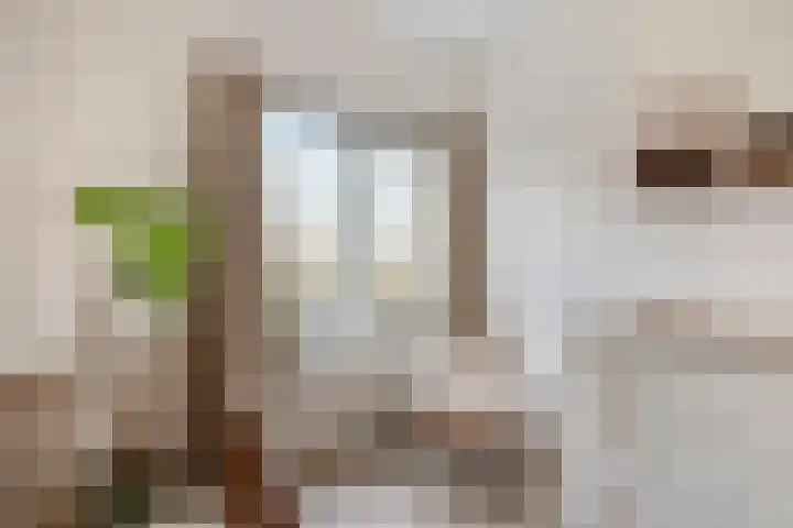 Merwedekade 159 BS Utrecht thumbnail 32
